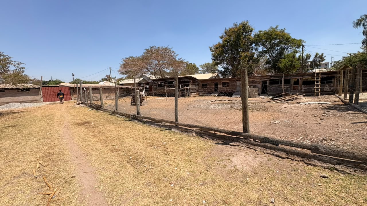 Kujifunza kwa kazi / Learning through work