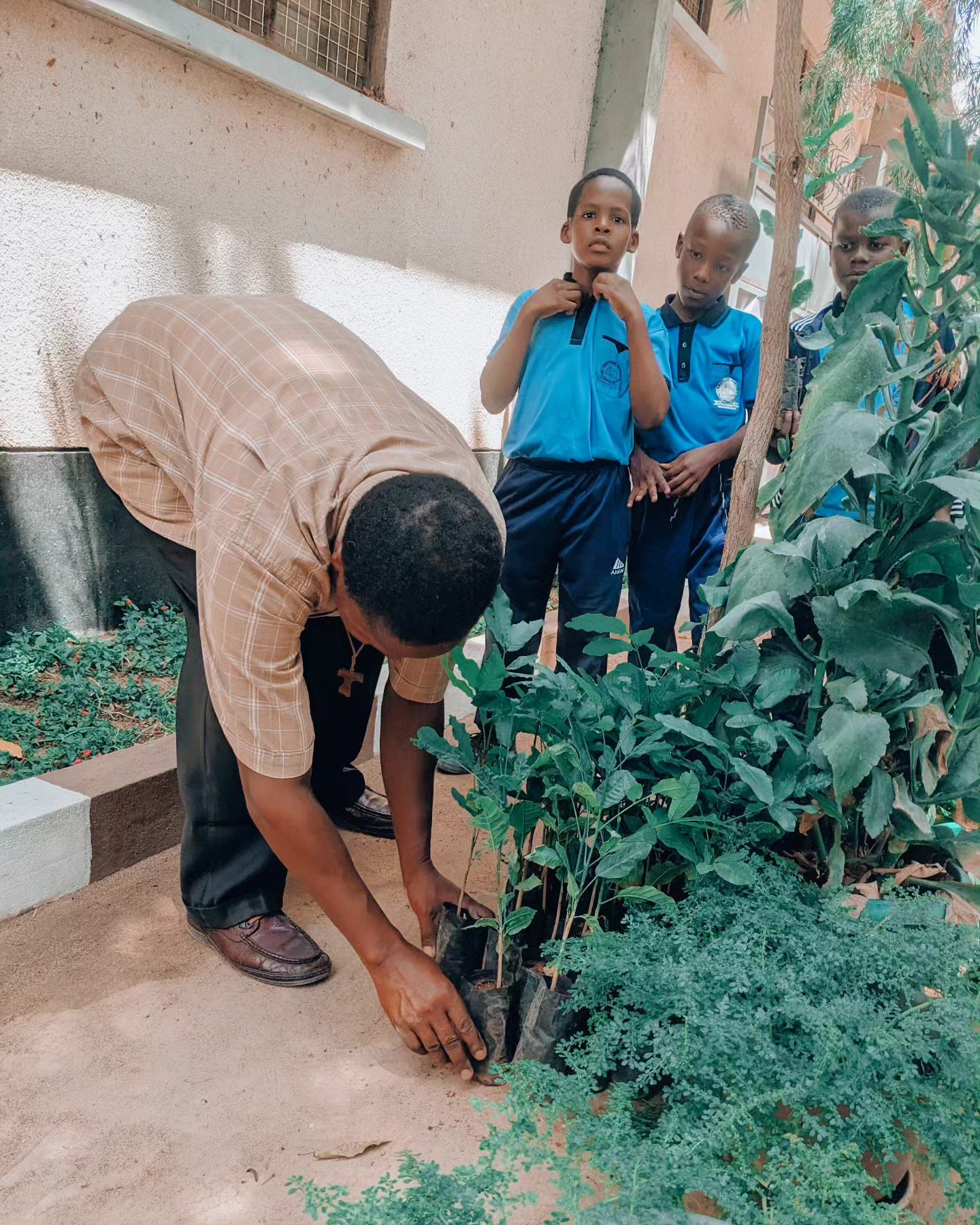 Wanafunzi wakikuza mimea / Pupils growing plants