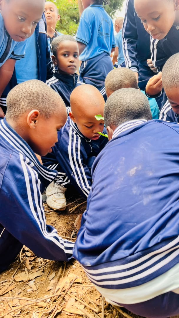 Kazi ya pamoja / Team time